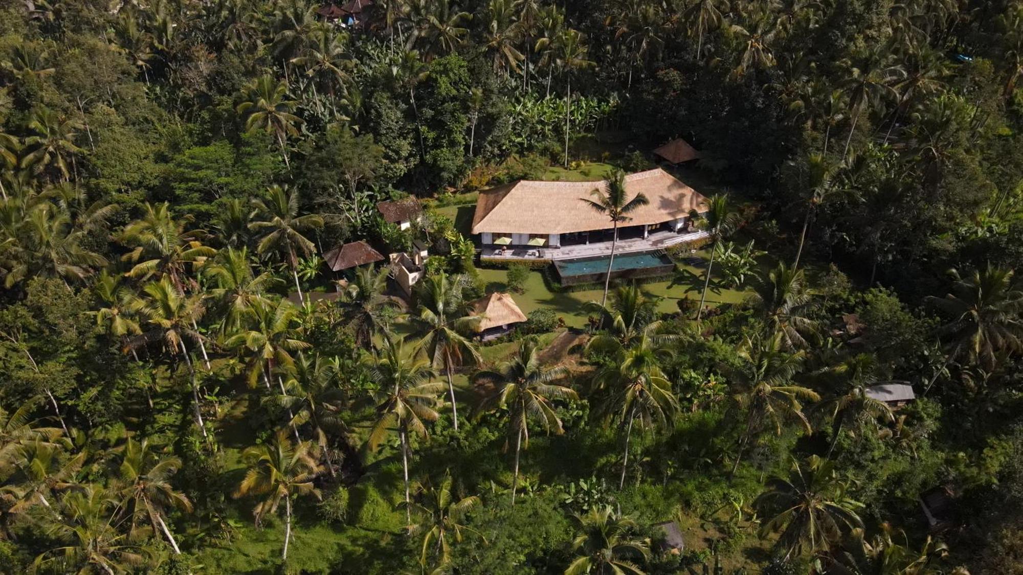 Villa Themma Jungle - Sumptuous 3Br Luxury Villa With Majestic Jungle View North Of Ubud Exterior photo